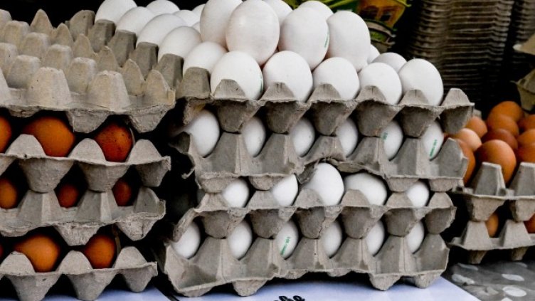 Снимка: БГНЕС/EPA