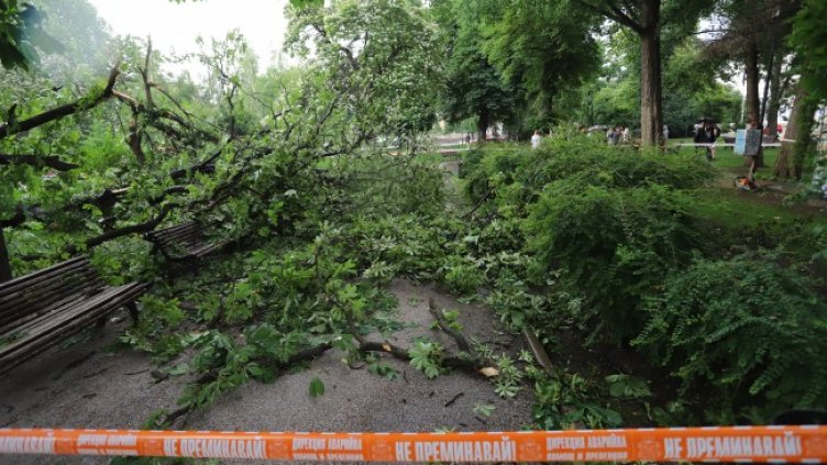 Снимка: БГНЕС