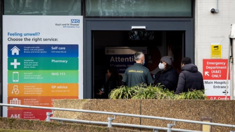 Снимка: архив, БГНЕС