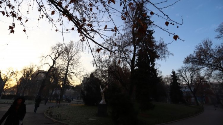 Снимка: БГНЕС