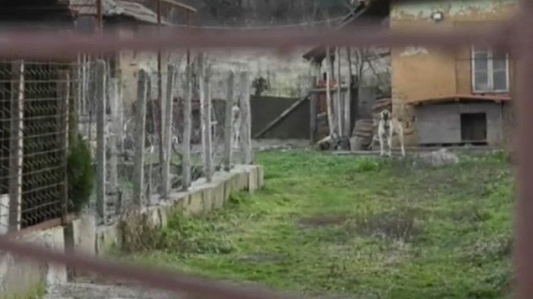 Кадър: Нова тв