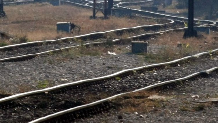 Снимка: архив, БГНЕС