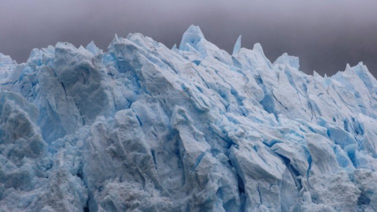 Снимка: архив, БГНЕС