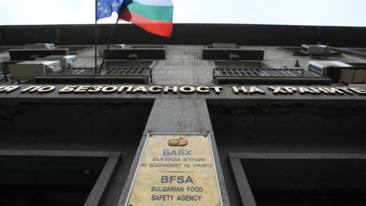 Снимка: архив, БГНЕС