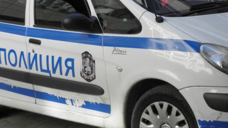 Снимка: архив, БГНЕС