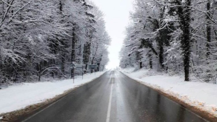 Снимка: архив, БГНЕС