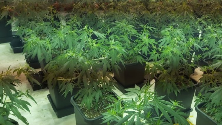 Снимка: архив, БГНЕС