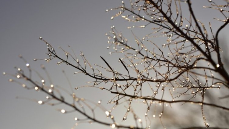 Снимка: Pixabay