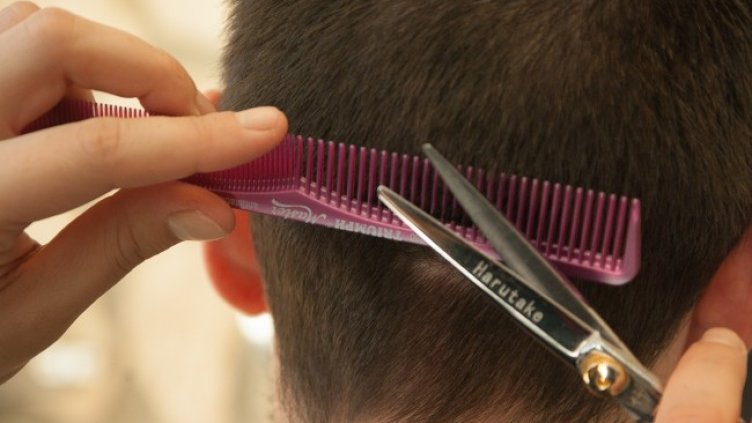 Снимка: Pixabay