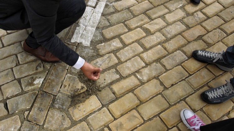 Снимка: Димитър Кьосемарлиев, Dnes.bg