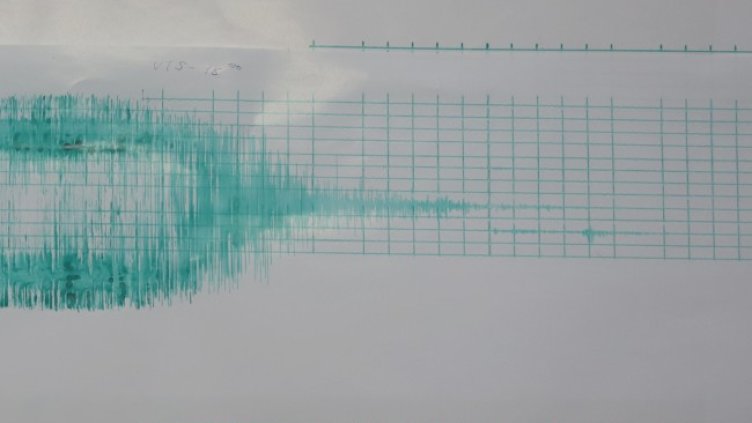 Снимка: БГНЕС, архив