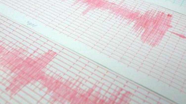 Снимка: архив, БГНЕС