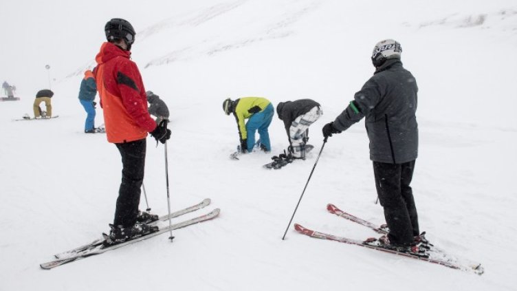 Снимка: архив, БГНЕС
