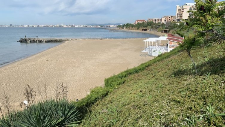 Снимка: БГНЕС