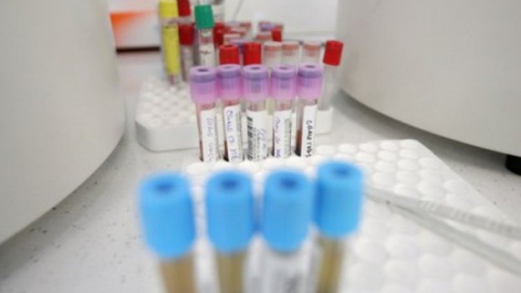 Снимка: Димитър Кьосемарлиев