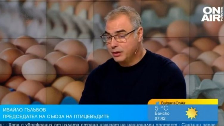 Снимка: Bulgaria ON AIR