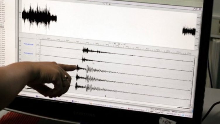 Снимка: архив, БГНЕС