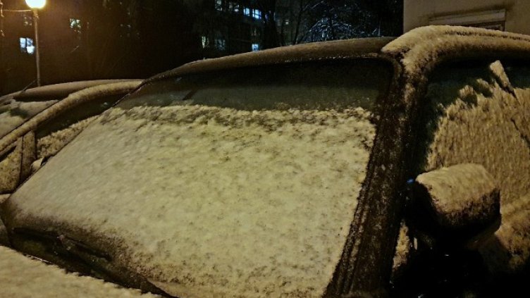 Снимка: архив, БГНЕС