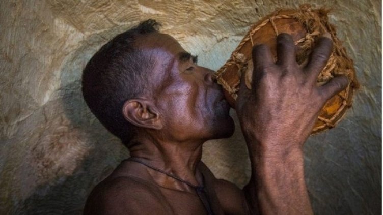 Кадър от "Мамоди, мъжът, който дълбае баобаби". Снимка: MENAR Biting Docs