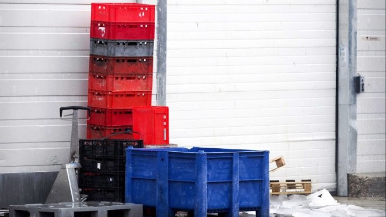 Снимка: архив, БГНЕС