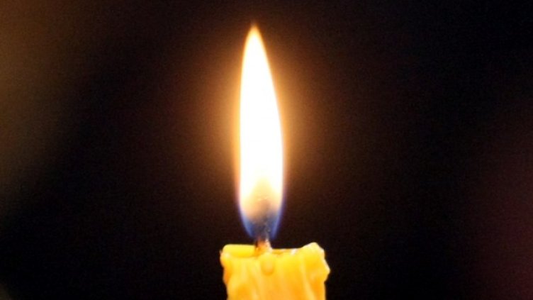 Снимка: архив, БГНЕС