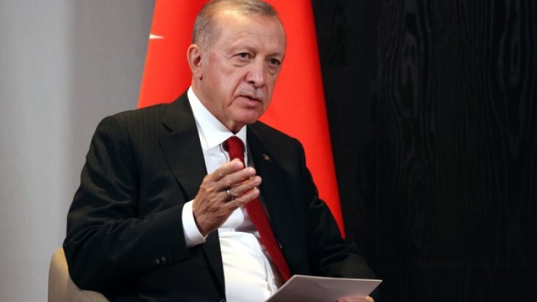 Снимка: архив, БГНЕС