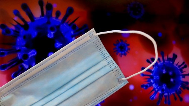 Снимка: архив, БГНЕС