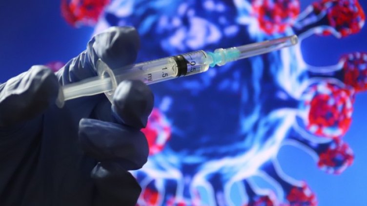 Снимка: архив, БГНЕС