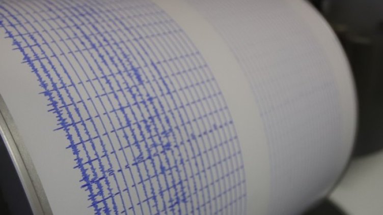 Снимка: архив, БГНЕС