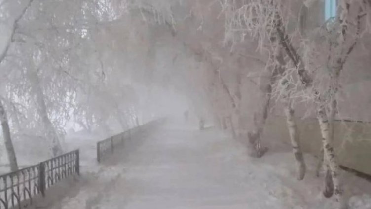 Снимка: Twitter