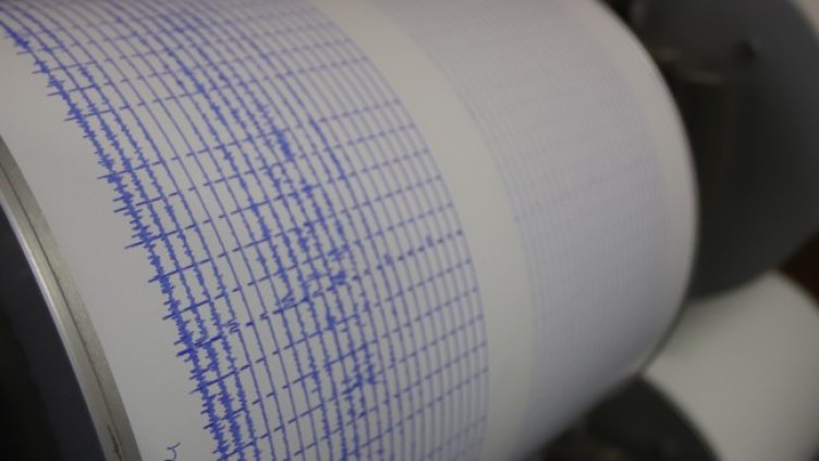 Снимка: архив, БГНЕС