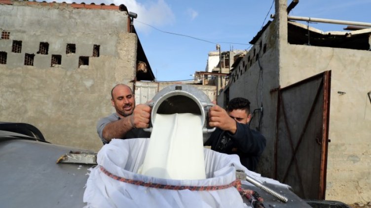 Снимка: БГНЕС/EPA