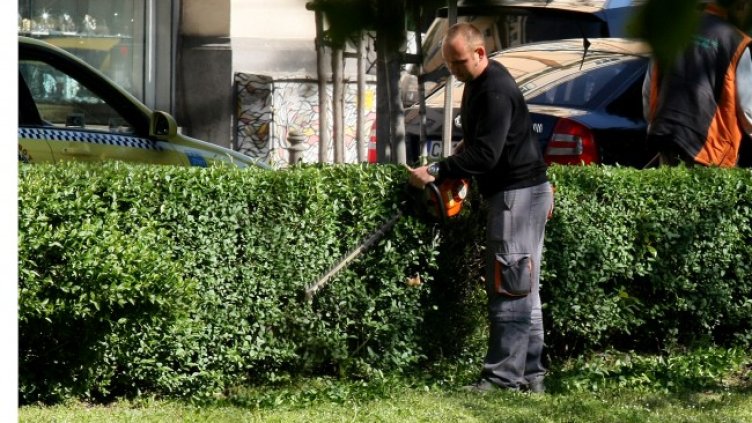 Снимка: БГНЕС