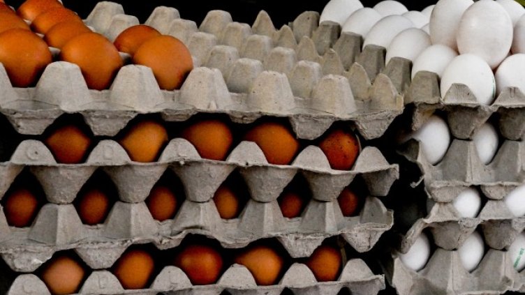 Снимка: БГНЕС/EPA