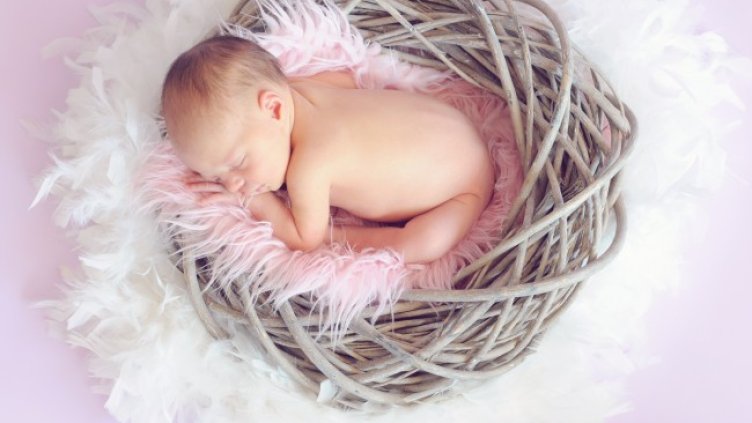 Снимка: Pexels/Pixabay