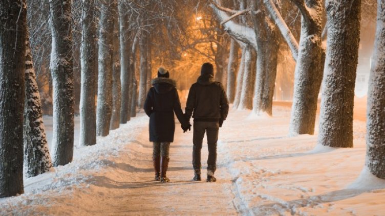 Снимка: iStock/FotoDuets