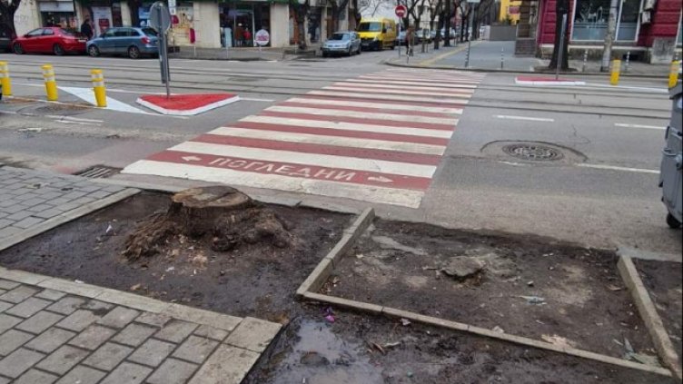 Снимка: Helpbook