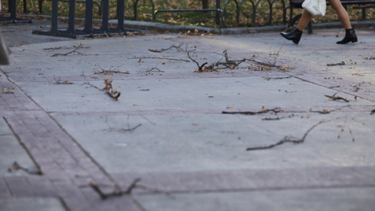 Снимка: БГНЕС