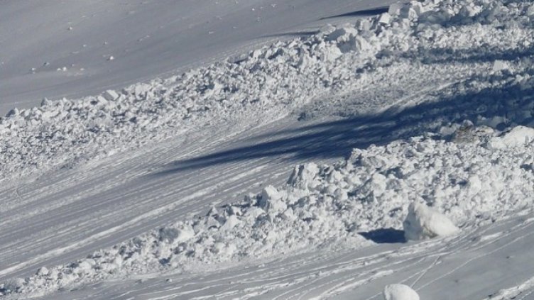 Снимка: Pixabay