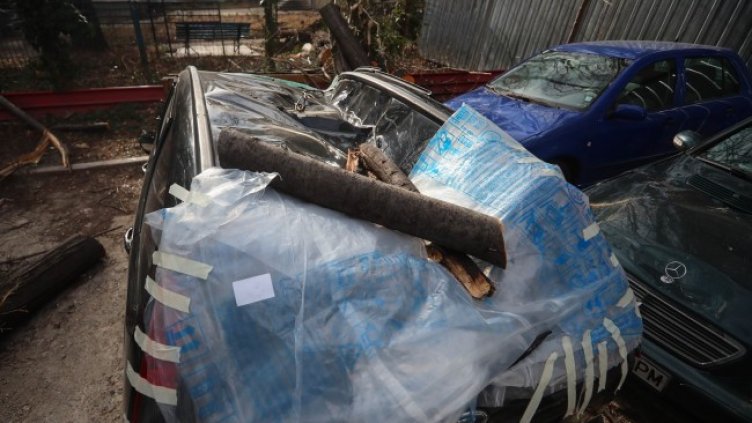 Снимка: Димитър Кьосемарлиев, Dnes.bg