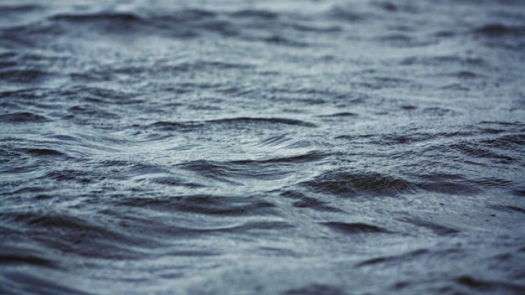 Снимка: Pixabay