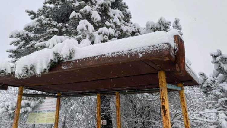 Снимка: БГНЕС