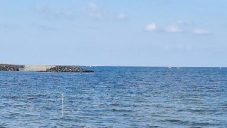 Снимка: БГНЕС, архив