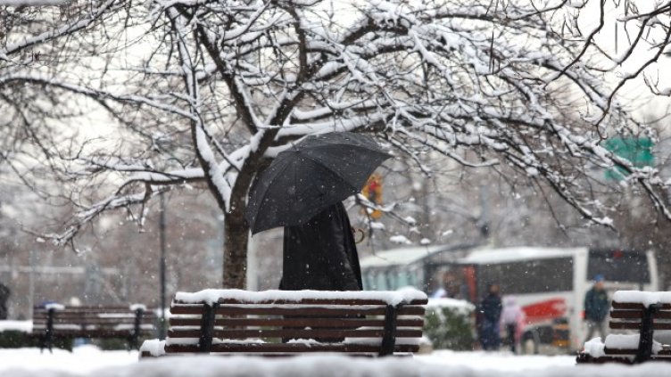 Снимка: БГНЕС