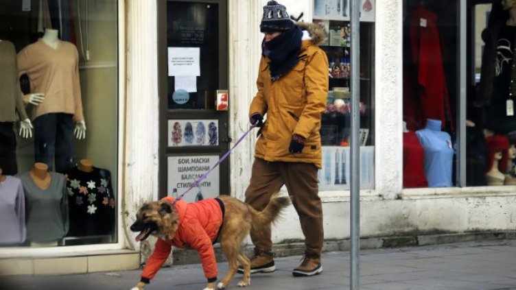 Снимка: БГНЕС