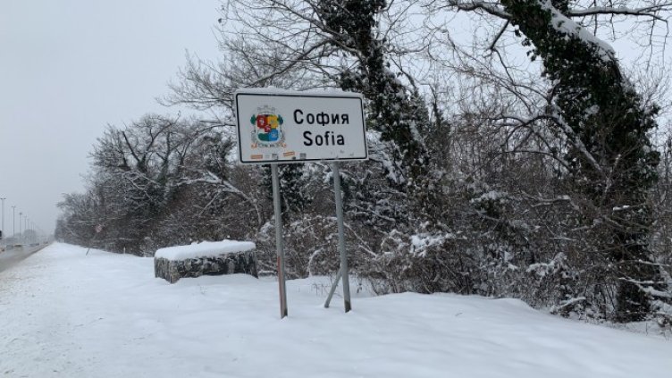 Снимка: архив, БГНЕС