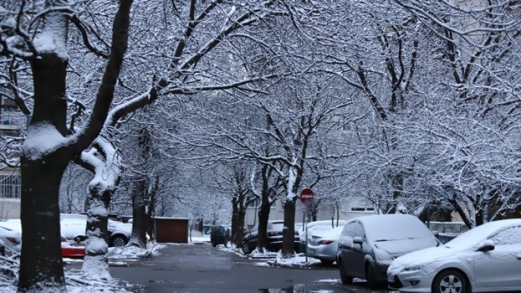 Снимка: архив, БГНЕС