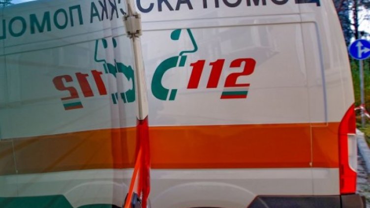 Снимка: Димитър Кьосемарлиев, Dnes.bg