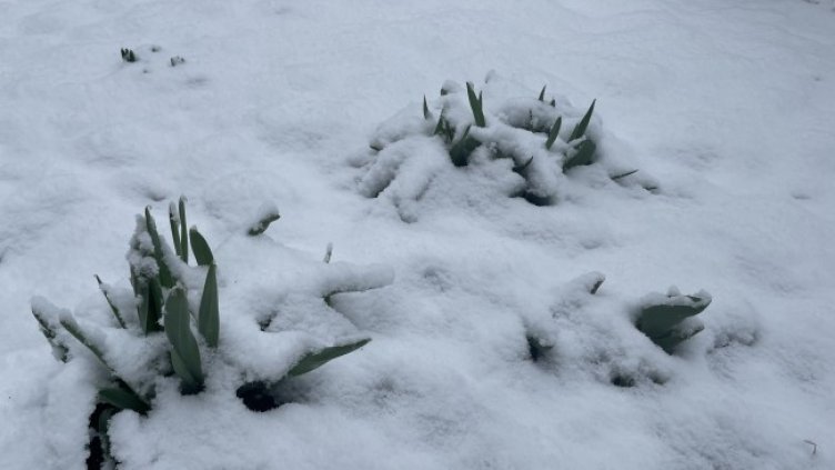 Изключително динамично време през първата половина на февруари