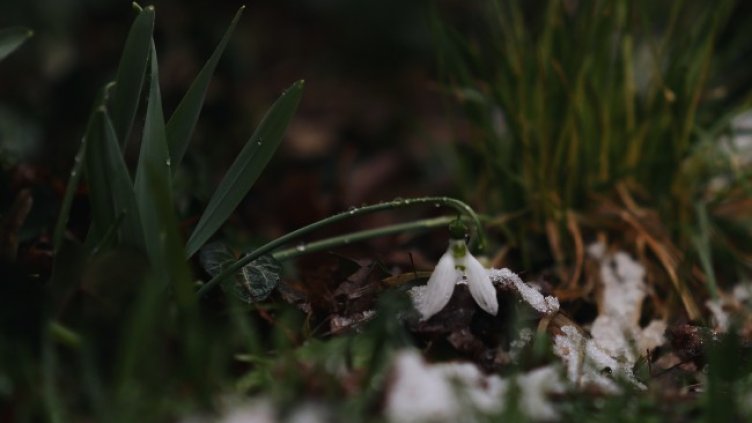 Снимка: архив, БГНЕС